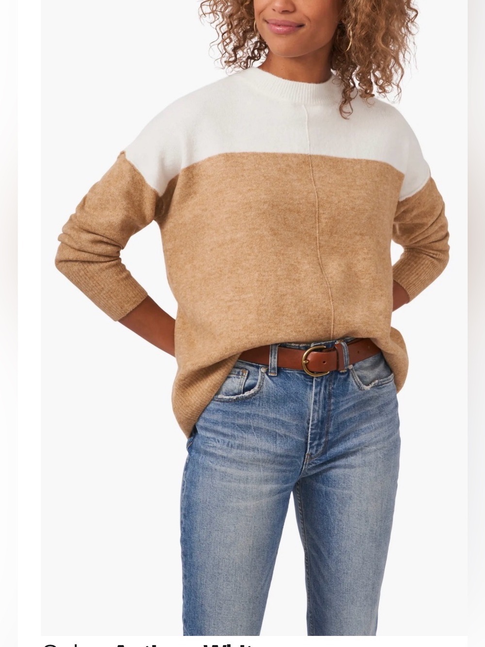 Vince Camuto Two-Tone Crewneck Sweater in Cream and Brown ptp 24 length 27 nwot